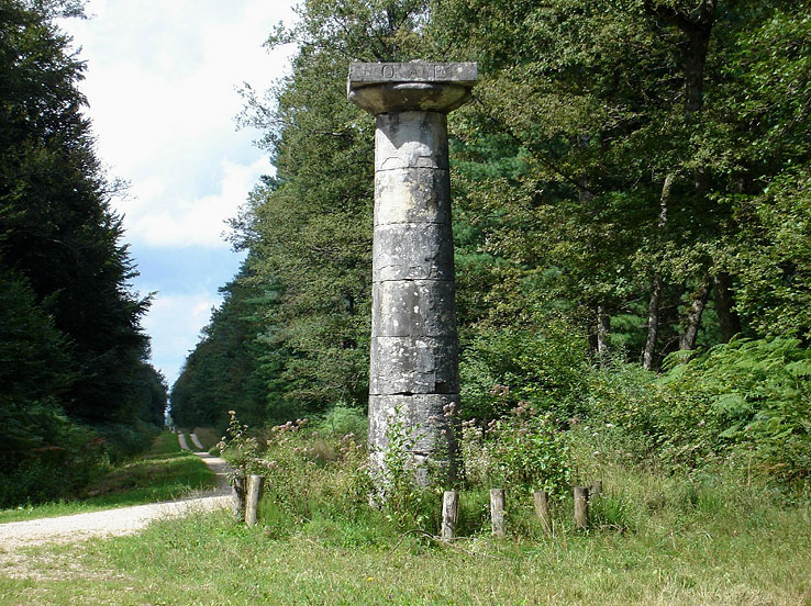 La forêt de Chaux