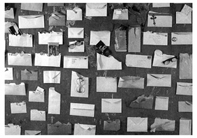 carte postale de Patricia Mc Kenna