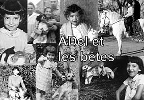 carte postale de Adel