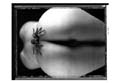 Jean-Louis Hess