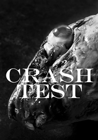 carte postale de Crash Test