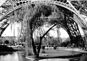 carte postale de Frances P. Ryan