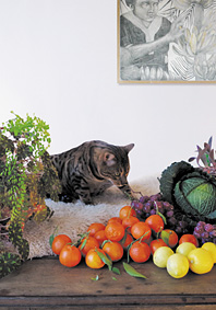 carte postale de Lucille Dautriche