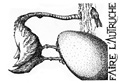 Michel Le Sage