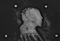Laurent-Dominique Fontana