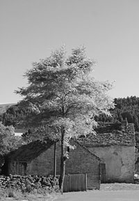 Soulages en lozère